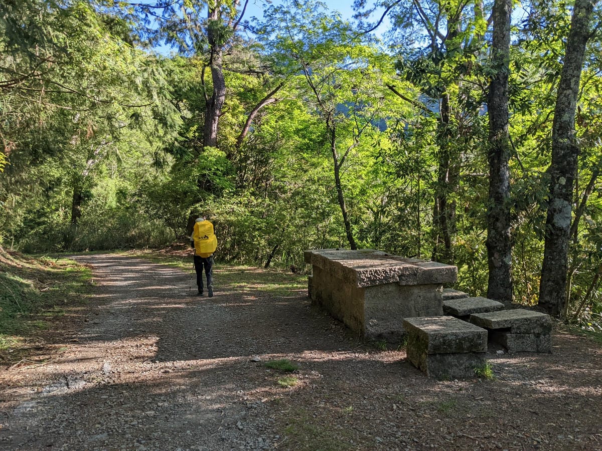 大小霸群峰 夜宿觀霧營地大鹿林道九九山莊每天20公里起跳