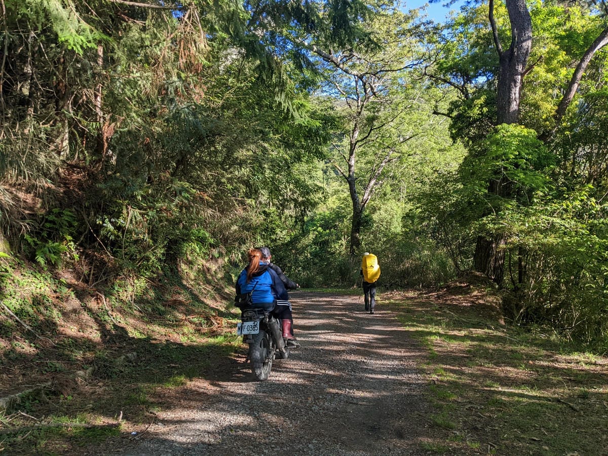 大小霸群峰 夜宿觀霧營地大鹿林道九九山莊每天20公里起跳