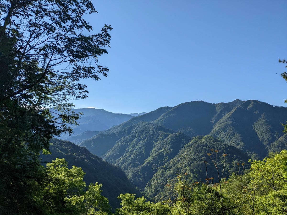 大小霸群峰 夜宿觀霧營地大鹿林道九九山莊每天20公里起跳