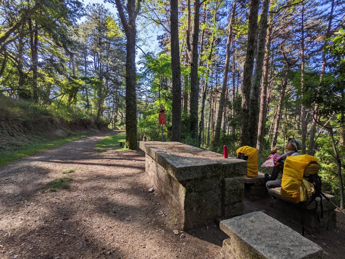 大小霸群峰 夜宿觀霧營地大鹿林道九九山莊每天20公里起跳