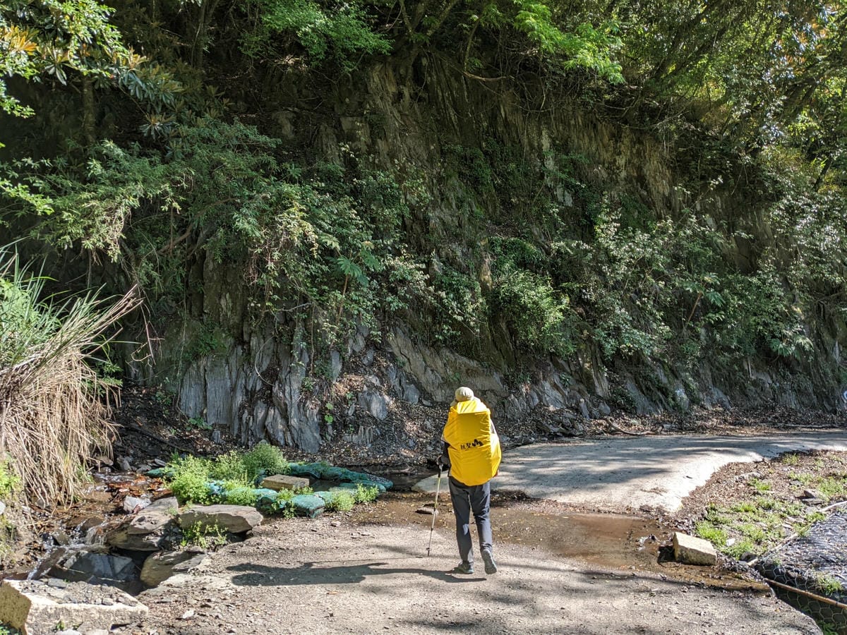 大小霸群峰 夜宿觀霧營地大鹿林道九九山莊每天20公里起跳