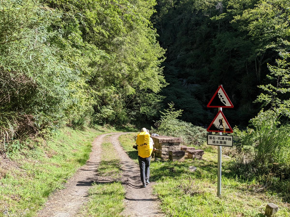大小霸群峰 夜宿觀霧營地大鹿林道九九山莊每天20公里起跳