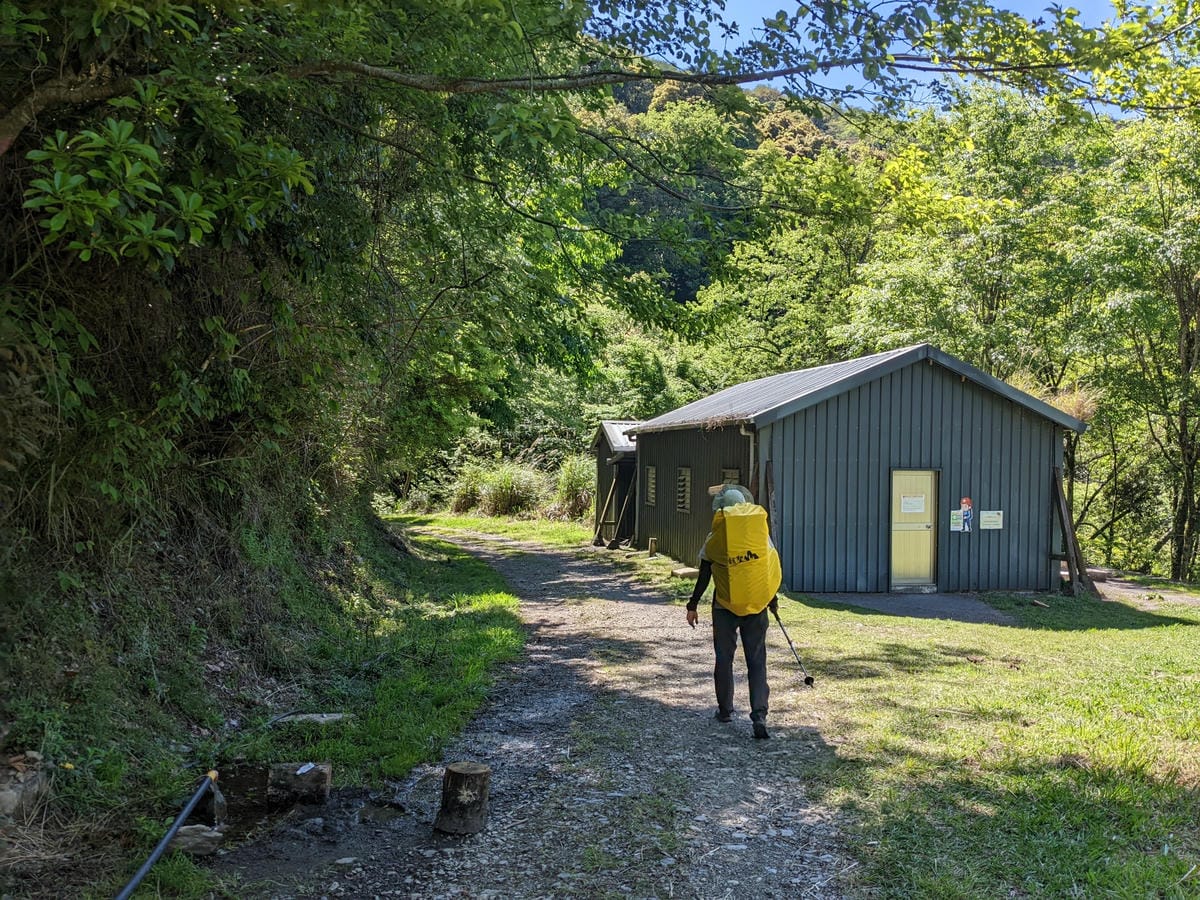 大小霸群峰 夜宿觀霧營地大鹿林道九九山莊每天20公里起跳