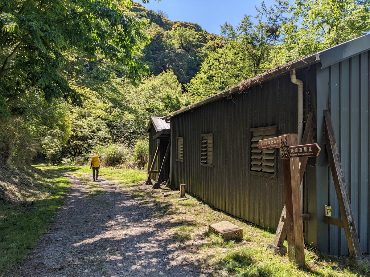 大小霸群峰 夜宿觀霧營地大鹿林道九九山莊每天20公里起跳