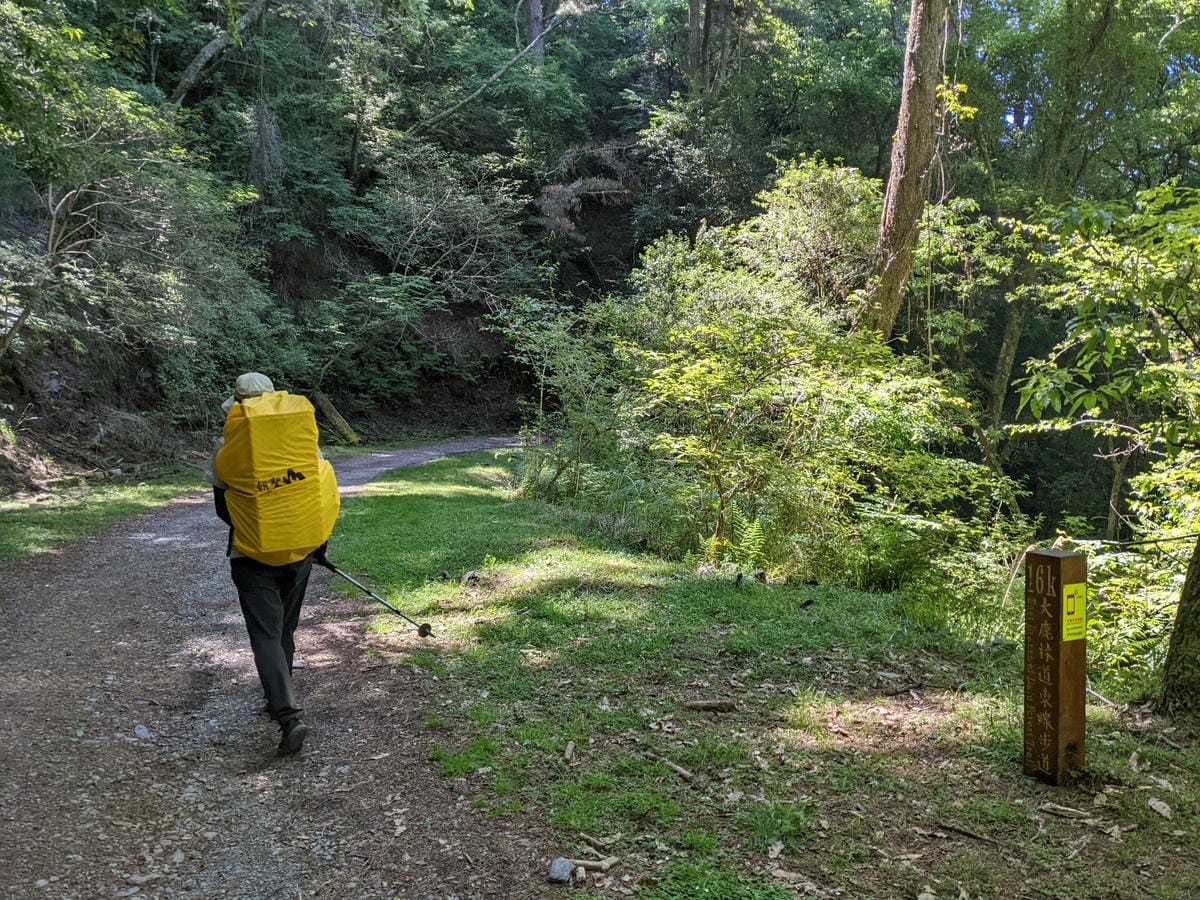 大小霸群峰 夜宿觀霧營地大鹿林道九九山莊每天20公里起跳