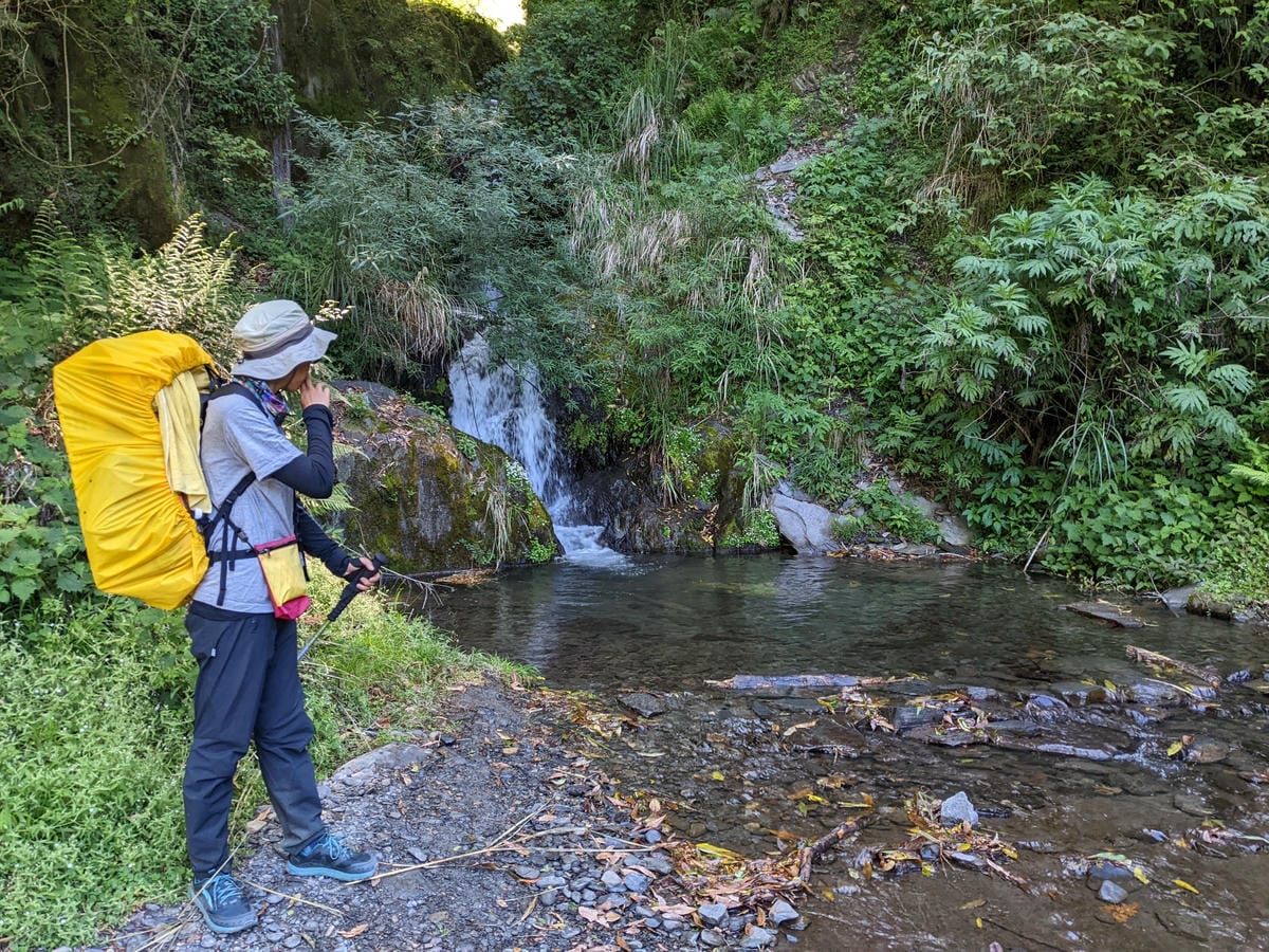 大小霸群峰 夜宿觀霧營地大鹿林道九九山莊每天20公里起跳