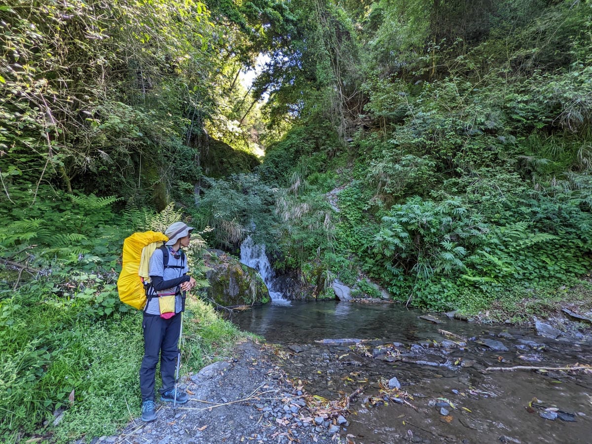 大小霸群峰 夜宿觀霧營地大鹿林道九九山莊每天20公里起跳 - 第34張圖 大小霸群峰 夜宿觀霧營地大鹿林道九九山莊每天20公里起跳