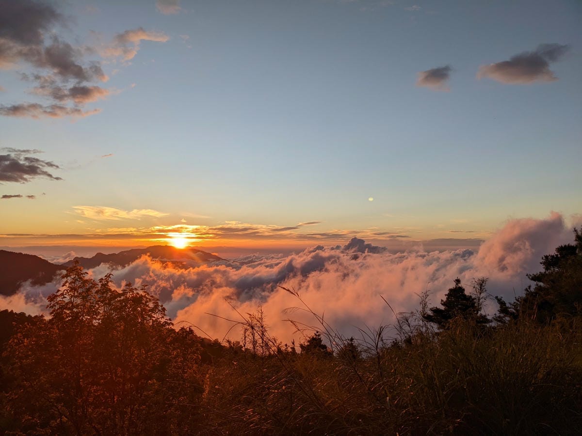 大小霸群峰 夜宿觀霧營地大鹿林道九九山莊每天20公里起跳 - 第41張圖 大小霸群峰 夜宿觀霧營地大鹿林道九九山莊每天20公里起跳