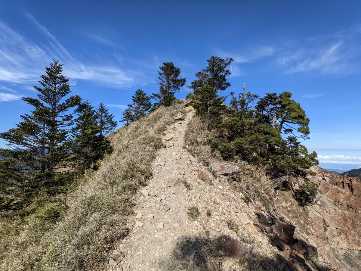 大小霸群峰 夜宿觀霧營地大鹿林道九九山莊-2