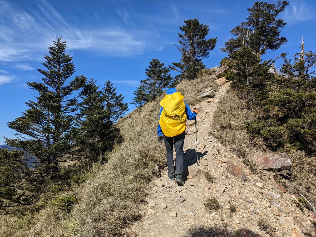 大小霸群峰 夜宿觀霧營地大鹿林道九九山莊-2