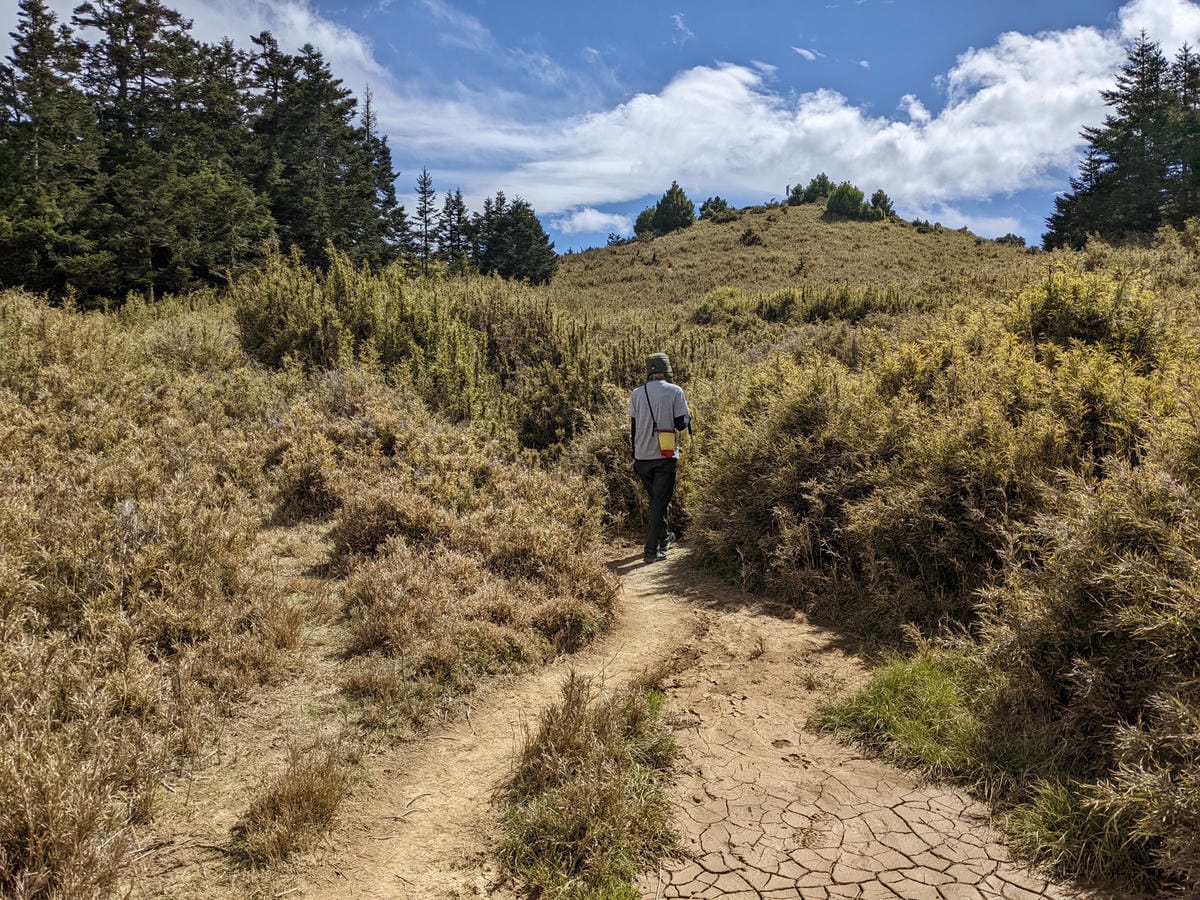 大小霸群峰 夜宿觀霧營地大鹿林道九九山莊-2