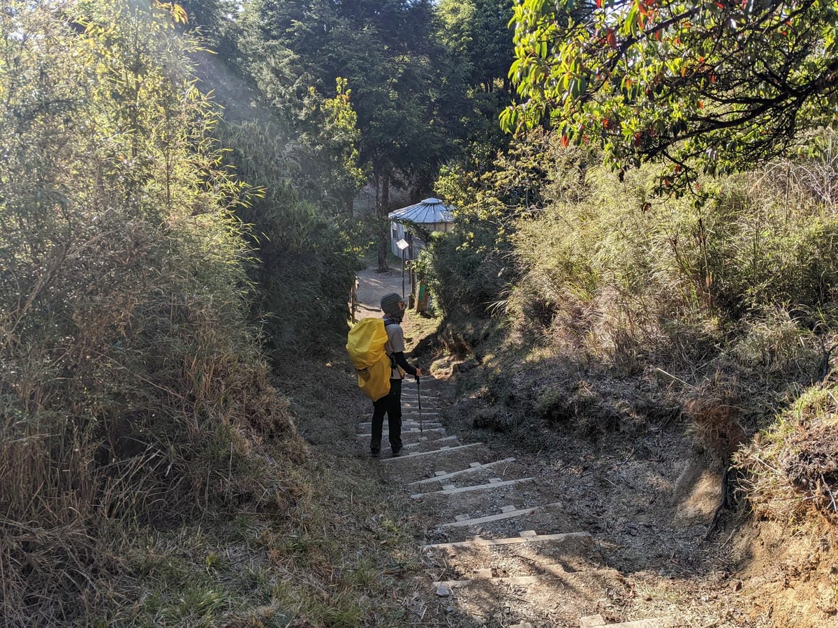 大小霸群峰 夜宿觀霧營地大鹿林道九九山莊-2