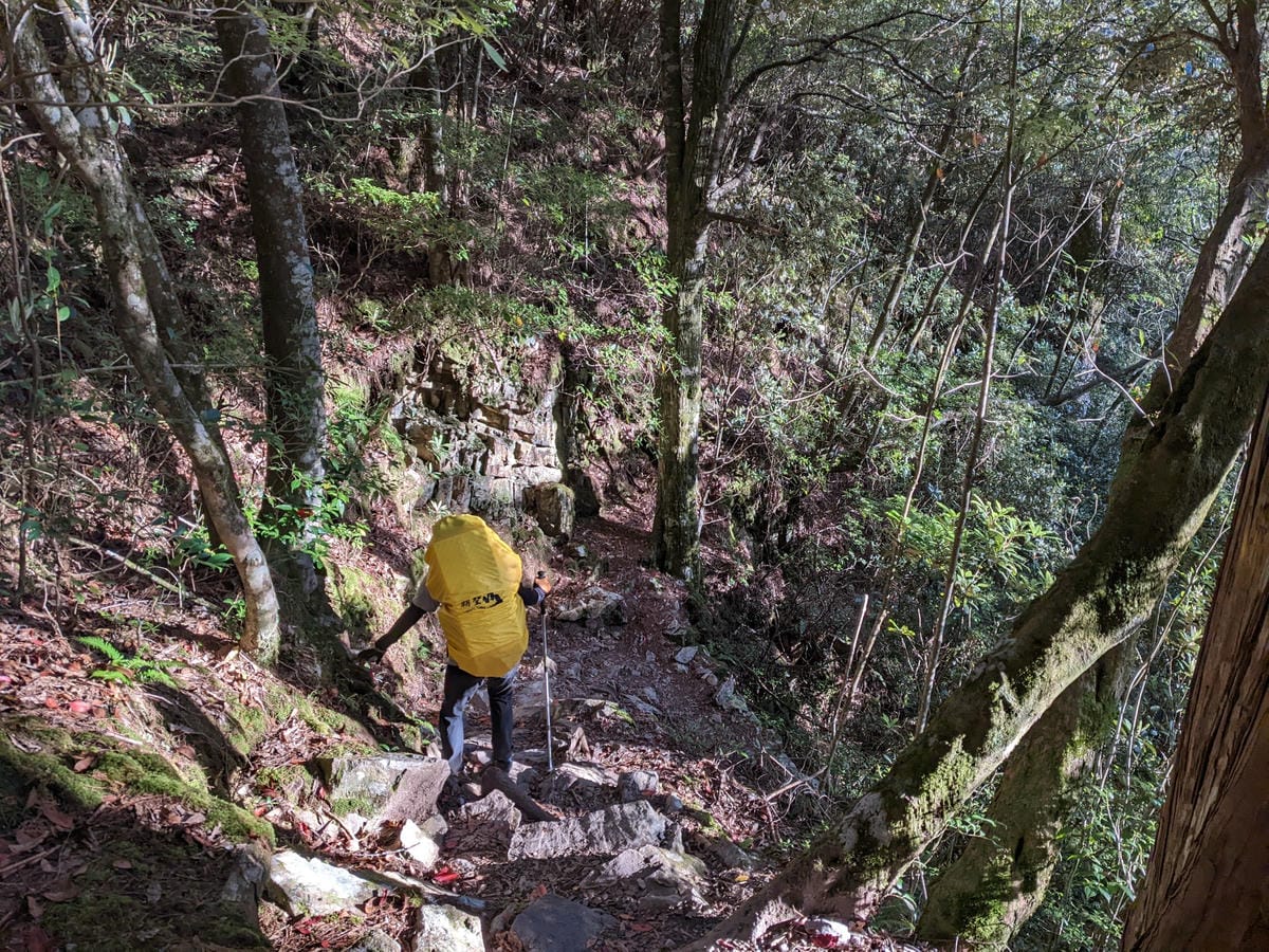 大小霸群峰 夜宿觀霧營地大鹿林道九九山莊-2