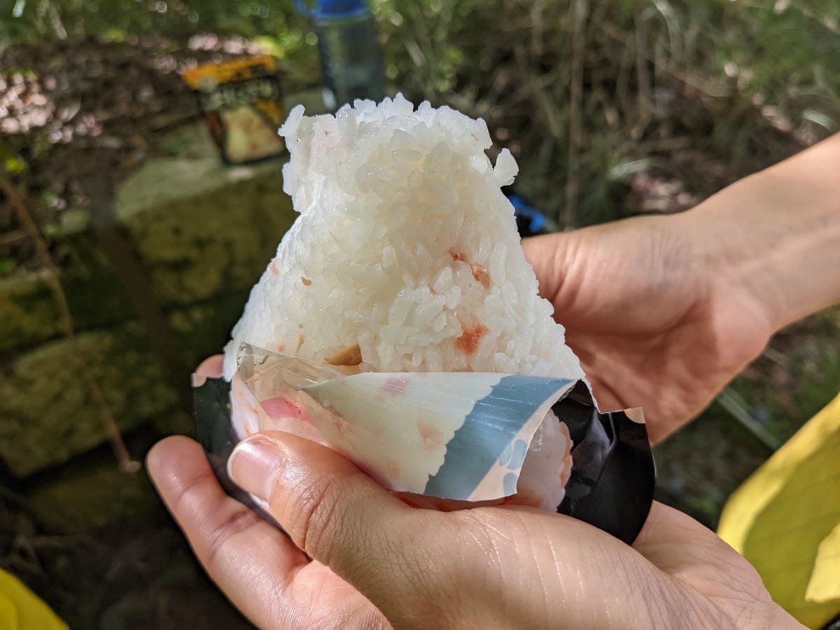 高山百岳多日爬山行動糧紀錄 即食飯糰洋芋片濃湯 - 第8張圖 高山百岳多日爬山行動糧紀錄 即食飯糰洋芋片濃湯