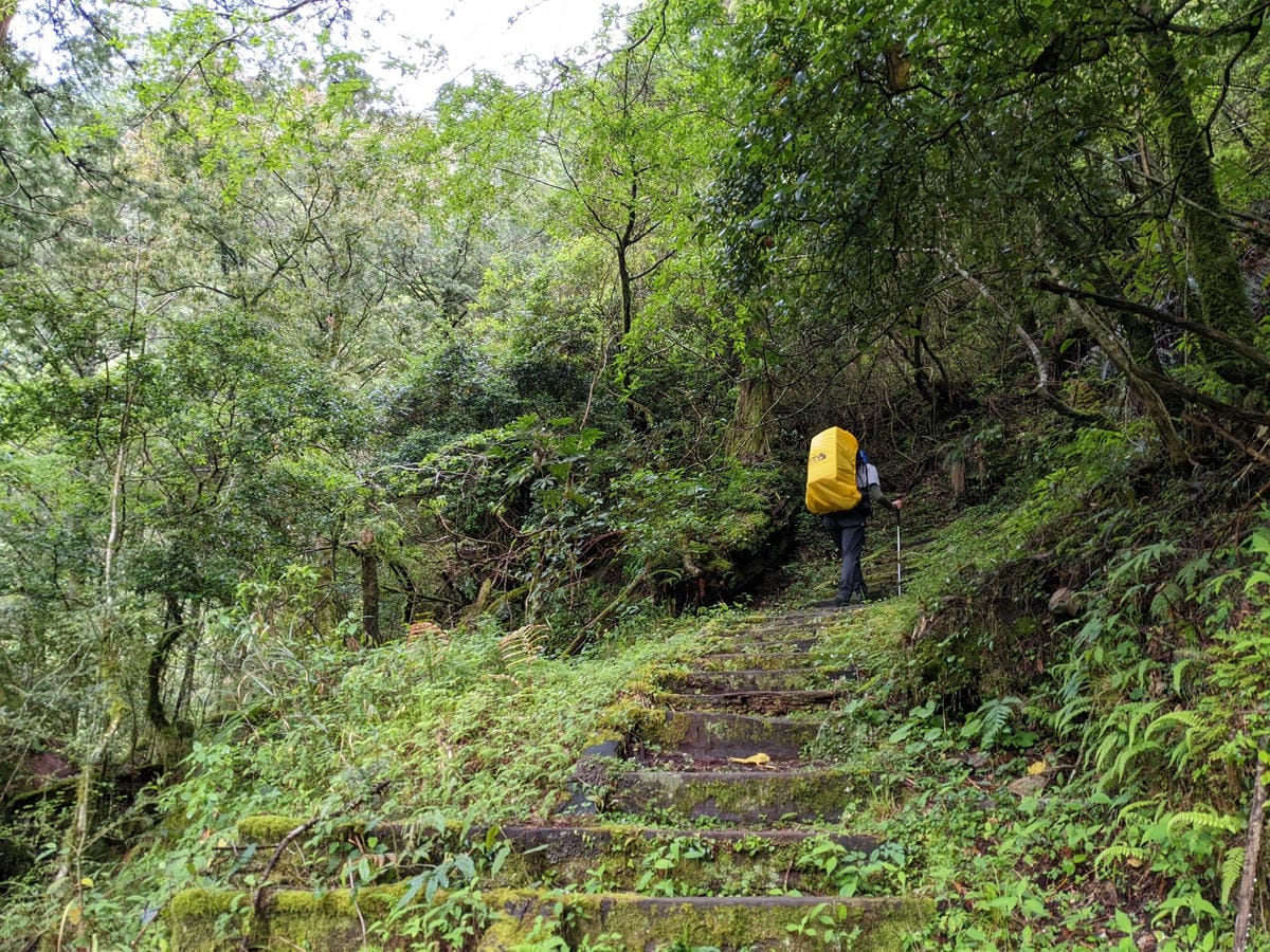 南橫F4 庫哈諾辛山&關山｜夜宿庫哈諾辛山屋南橫三星ing