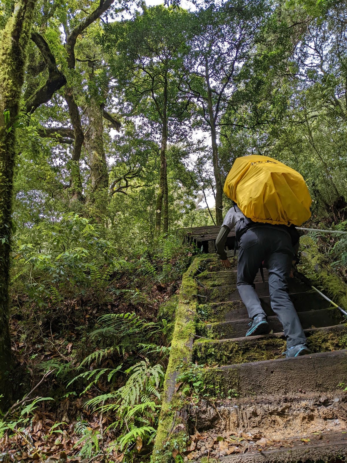 南橫F4 庫哈諾辛山&關山｜夜宿庫哈諾辛山屋南橫三星ing