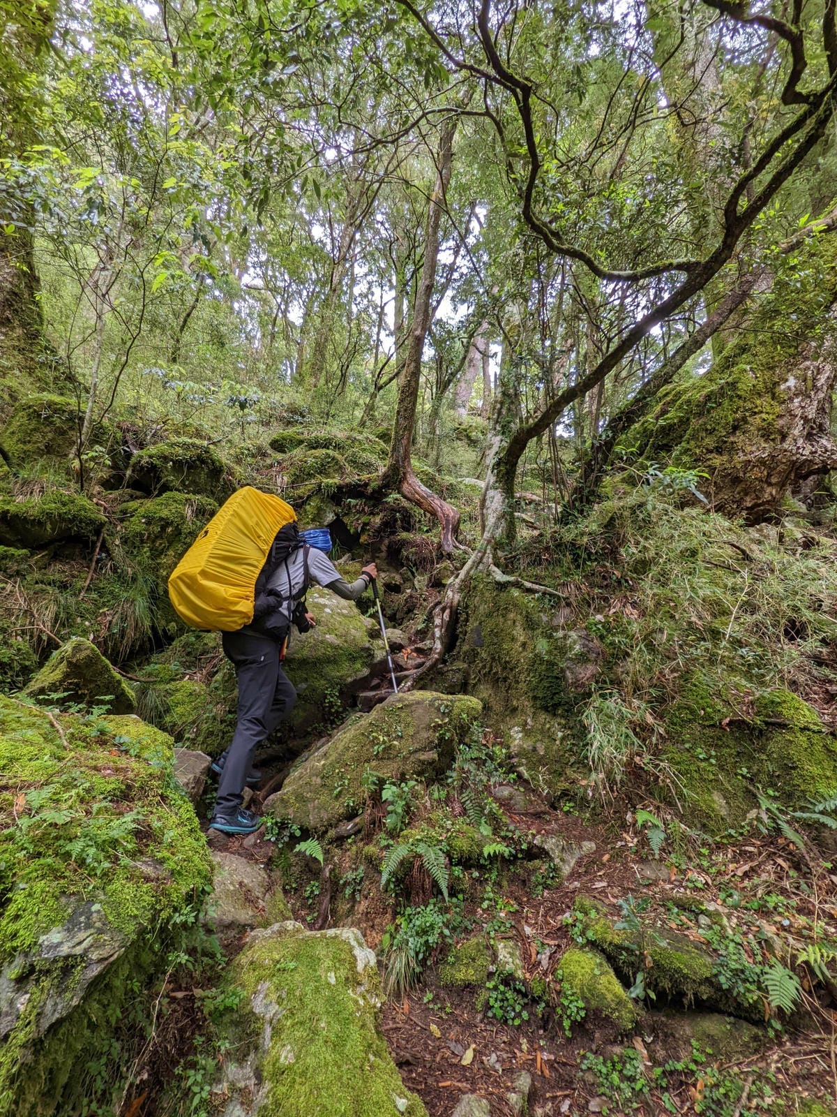 南橫F4 庫哈諾辛山&關山｜夜宿庫哈諾辛山屋南橫三星ing