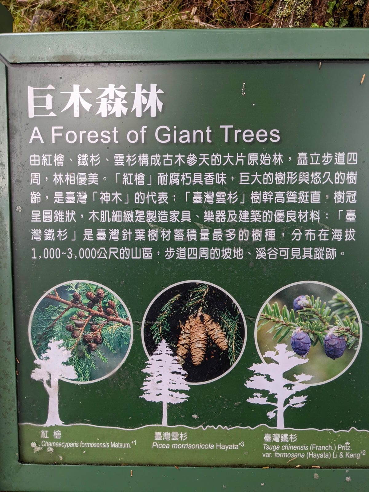 南橫F4 庫哈諾辛山&關山｜夜宿庫哈諾辛山屋南橫三星ing