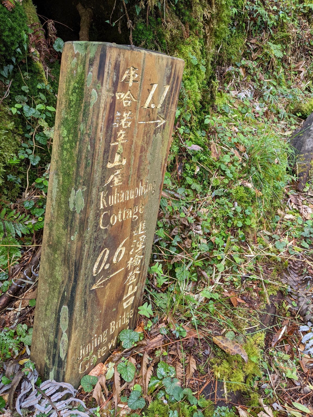 南橫F4 庫哈諾辛山&關山｜夜宿庫哈諾辛山屋南橫三星ing