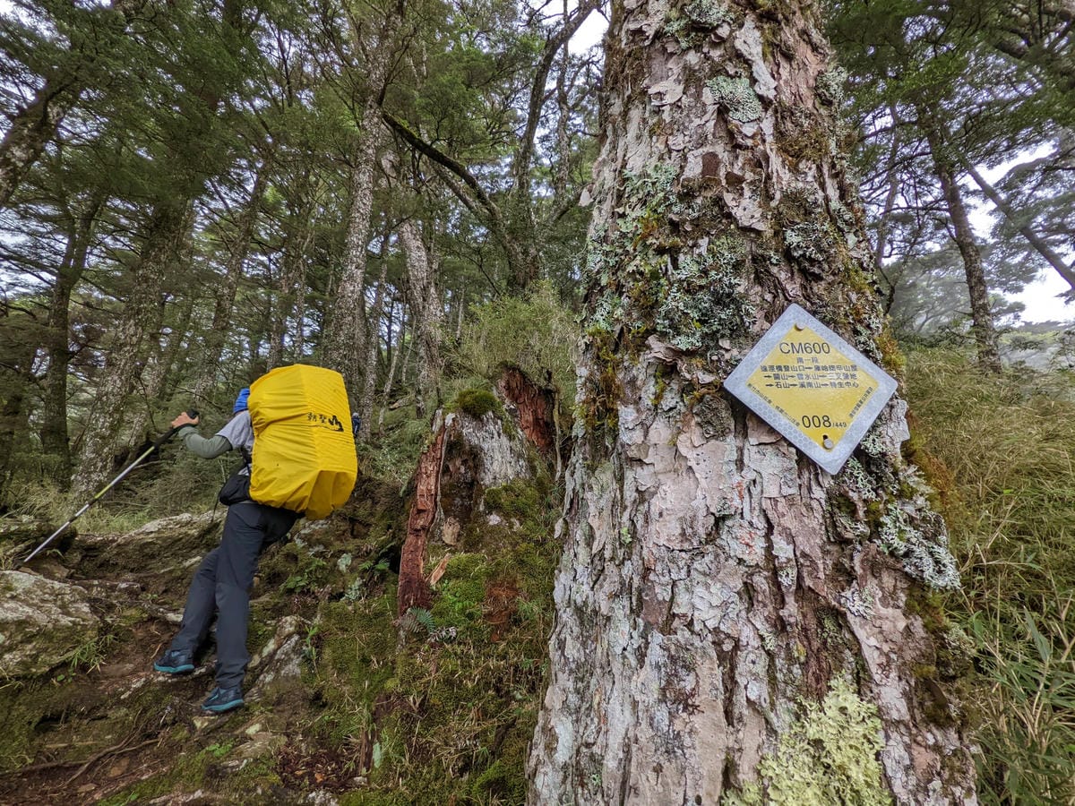 南橫F4 庫哈諾辛山&關山｜夜宿庫哈諾辛山屋南橫三星ing