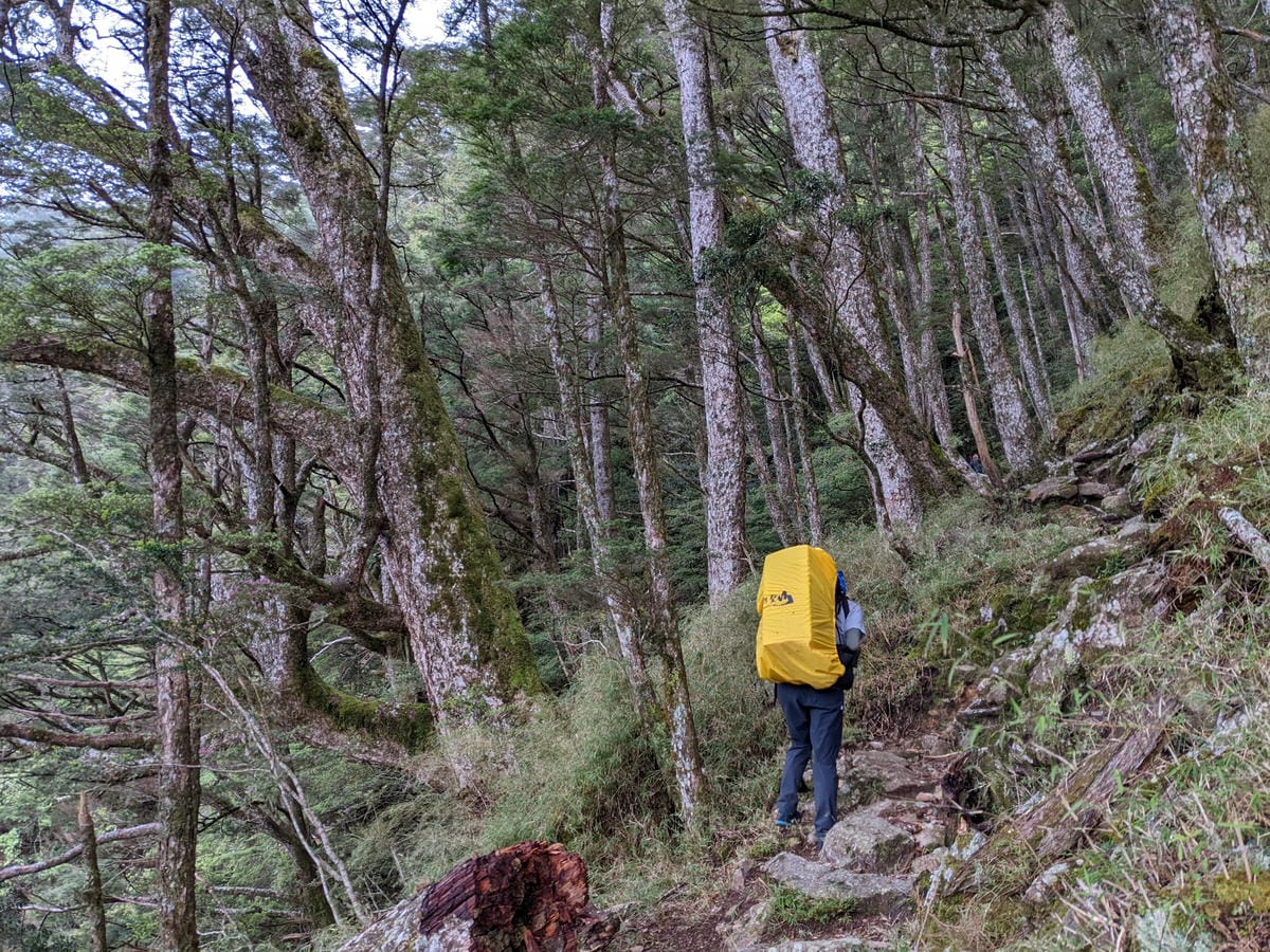 南橫F4 庫哈諾辛山&關山｜夜宿庫哈諾辛山屋南橫三星ing