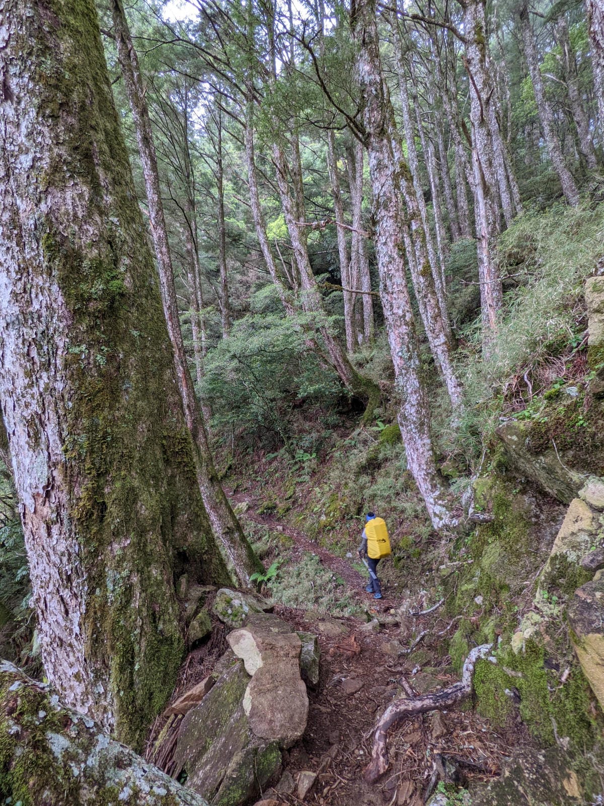 南橫F4 庫哈諾辛山&關山｜夜宿庫哈諾辛山屋南橫三星ing