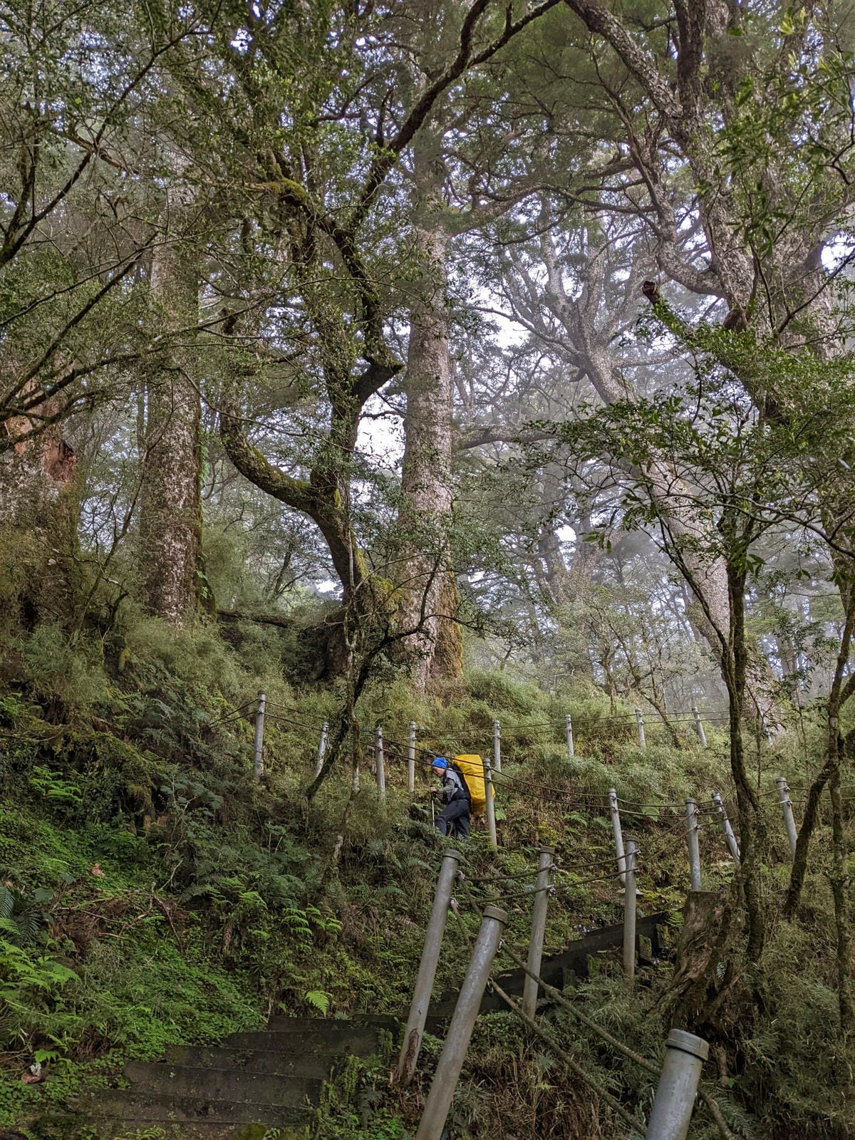 南橫F4 庫哈諾辛山&關山｜夜宿庫哈諾辛山屋南橫三星ing