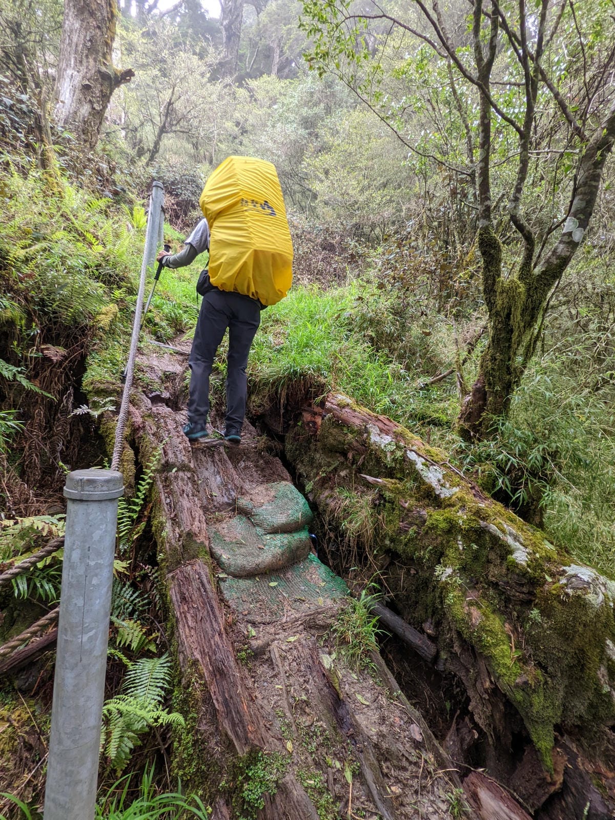 南橫F4 庫哈諾辛山&關山｜夜宿庫哈諾辛山屋南橫三星ing