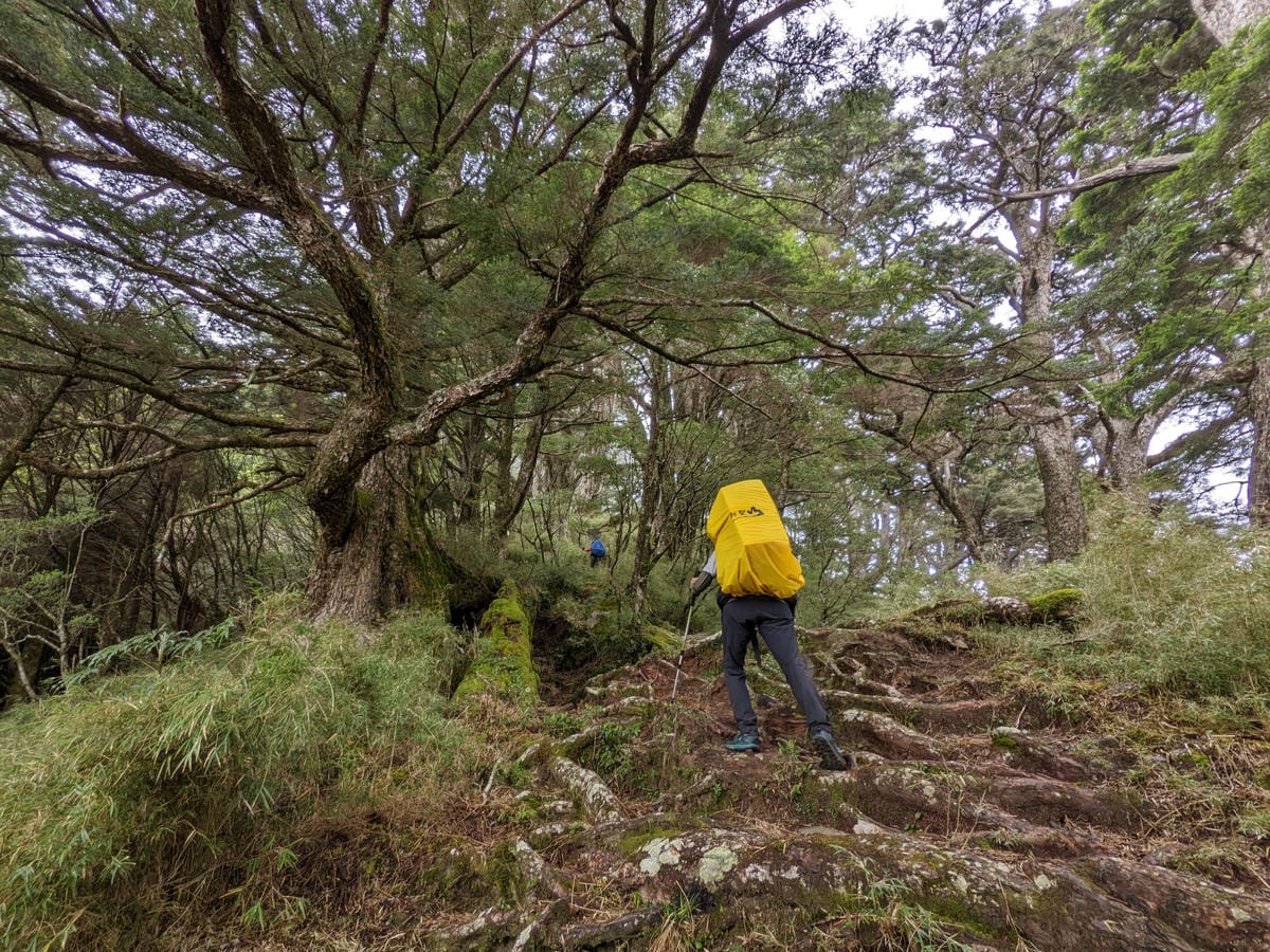 南橫F4 庫哈諾辛山&關山｜夜宿庫哈諾辛山屋南橫三星ing