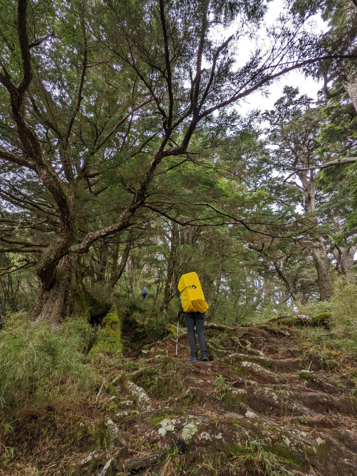 南橫F4 庫哈諾辛山&關山｜夜宿庫哈諾辛山屋南橫三星ing