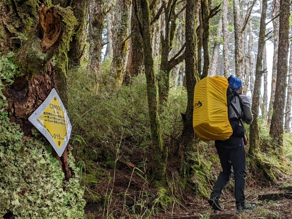 南橫F4 庫哈諾辛山&關山｜夜宿庫哈諾辛山屋南橫三星ing
