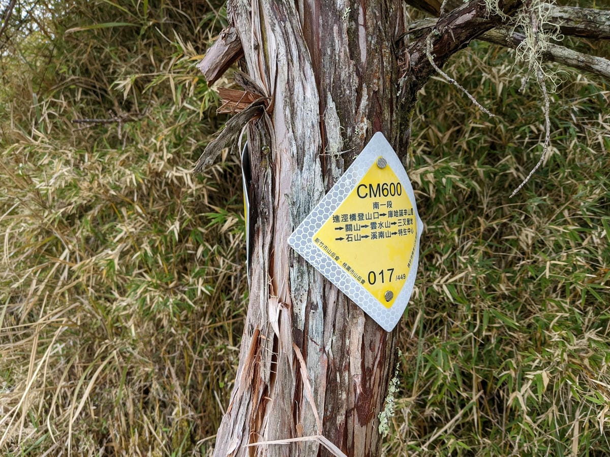 南橫F4 庫哈諾辛山&關山｜庫哈諾辛山ing