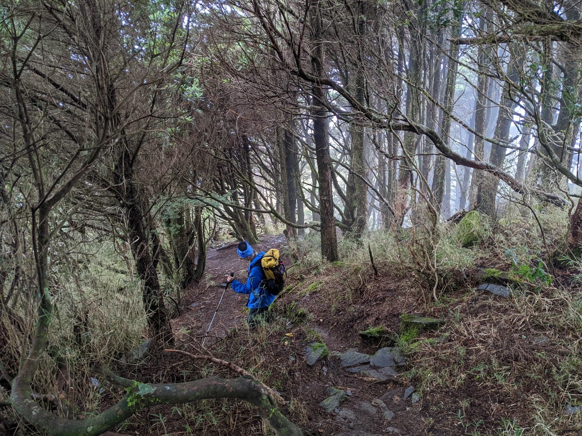 南橫F4 庫哈諾辛山&關山｜庫哈諾辛山ing