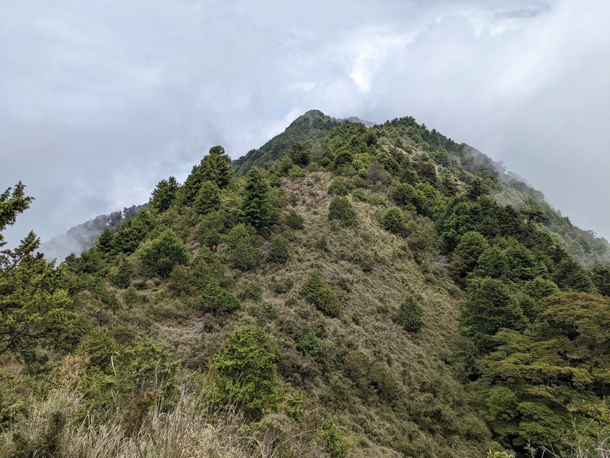 南橫F4 庫哈諾辛山&關山｜庫哈諾辛山ing