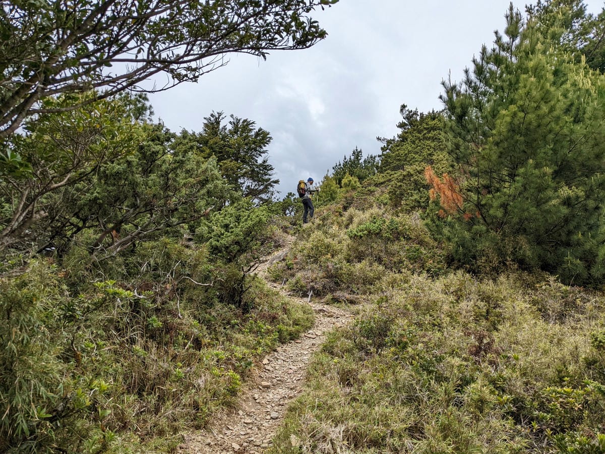 南橫F4 庫哈諾辛山&關山｜庫哈諾辛山ing