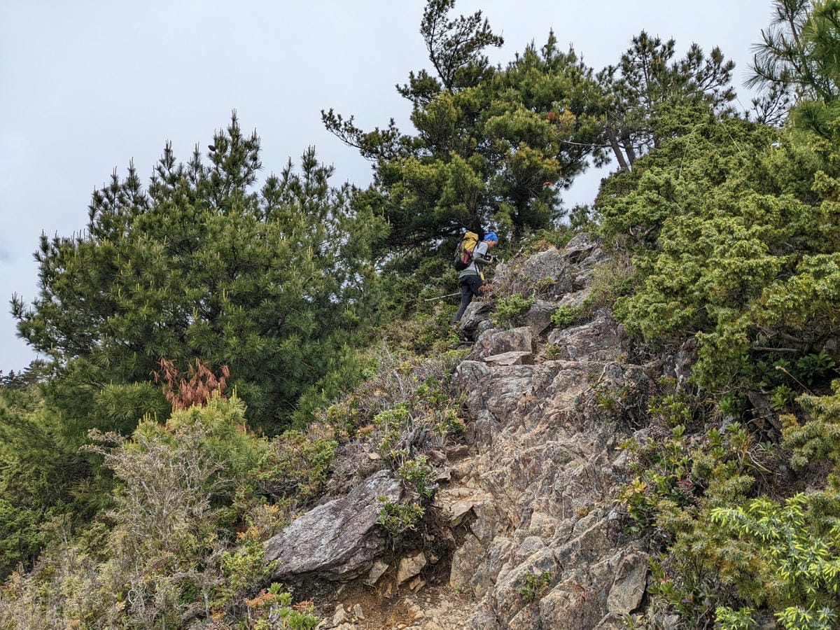 南橫F4 庫哈諾辛山&關山｜庫哈諾辛山ing