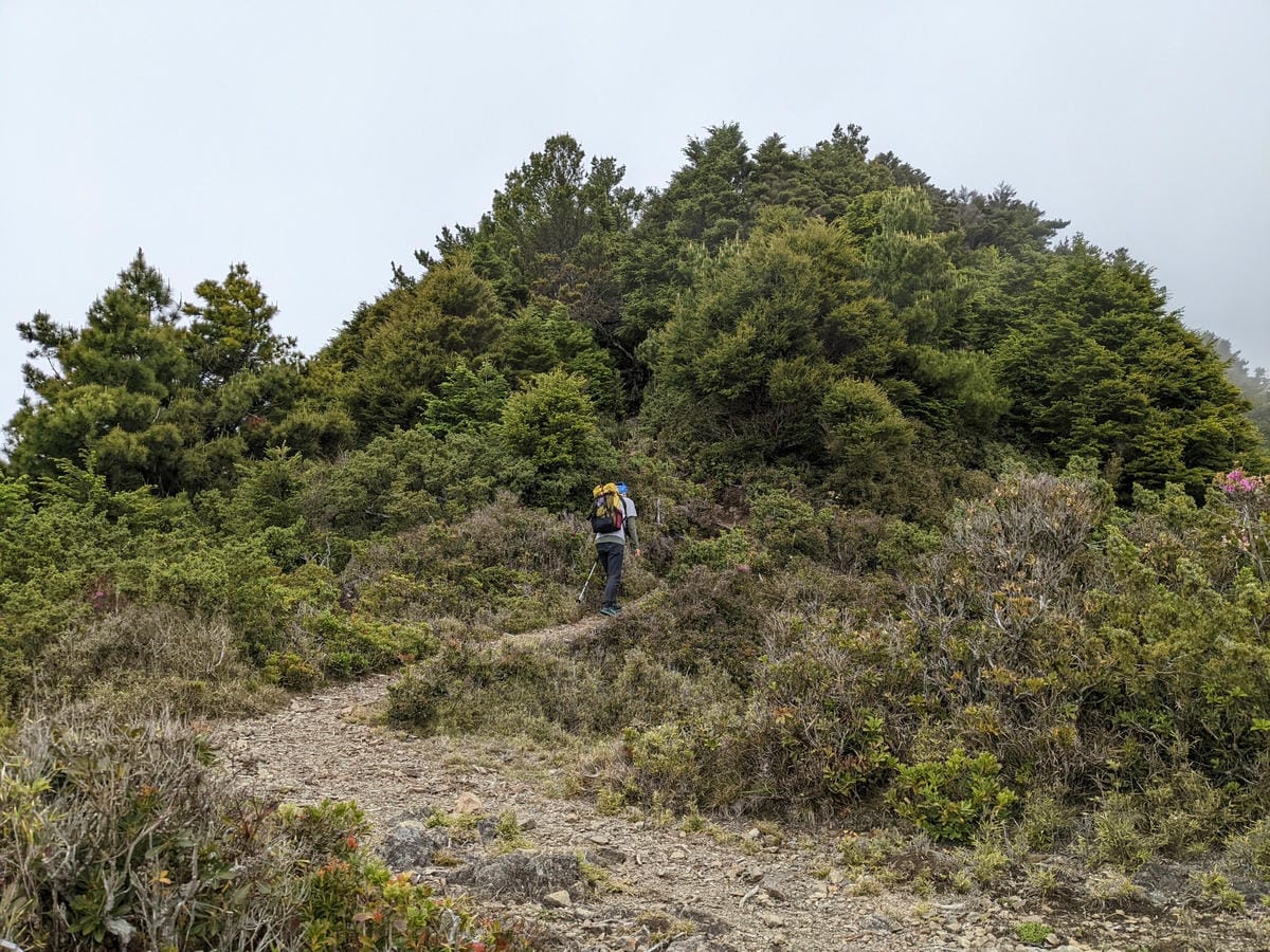 南橫F4 庫哈諾辛山&關山｜庫哈諾辛山ing