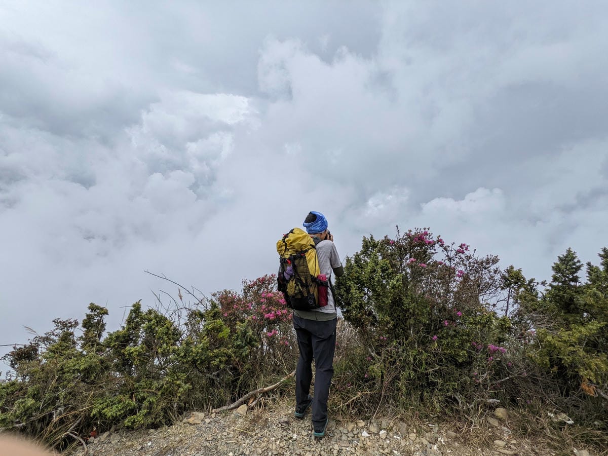 南橫F4 庫哈諾辛山&關山｜庫哈諾辛山ing