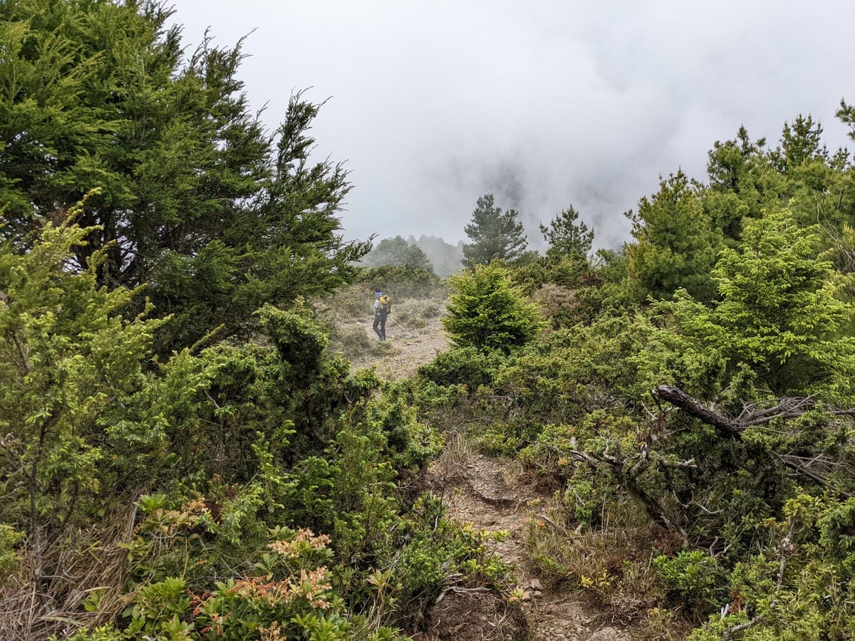 南橫F4 庫哈諾辛山&關山｜庫哈諾辛山ing