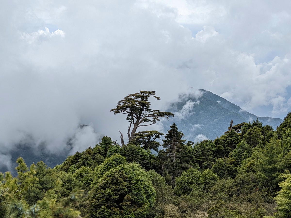 南橫F4 庫哈諾辛山&關山｜庫哈諾辛山ing