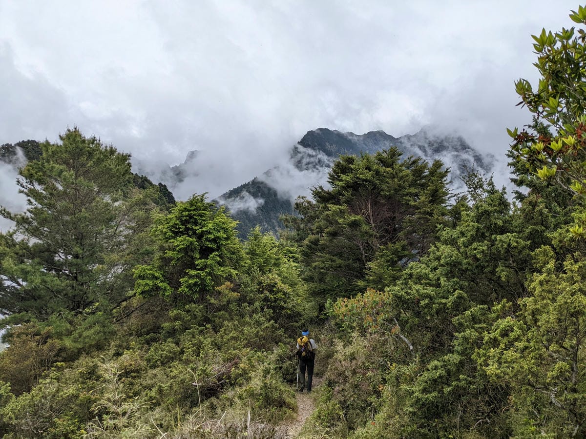 南橫F4 庫哈諾辛山&關山｜庫哈諾辛山ing