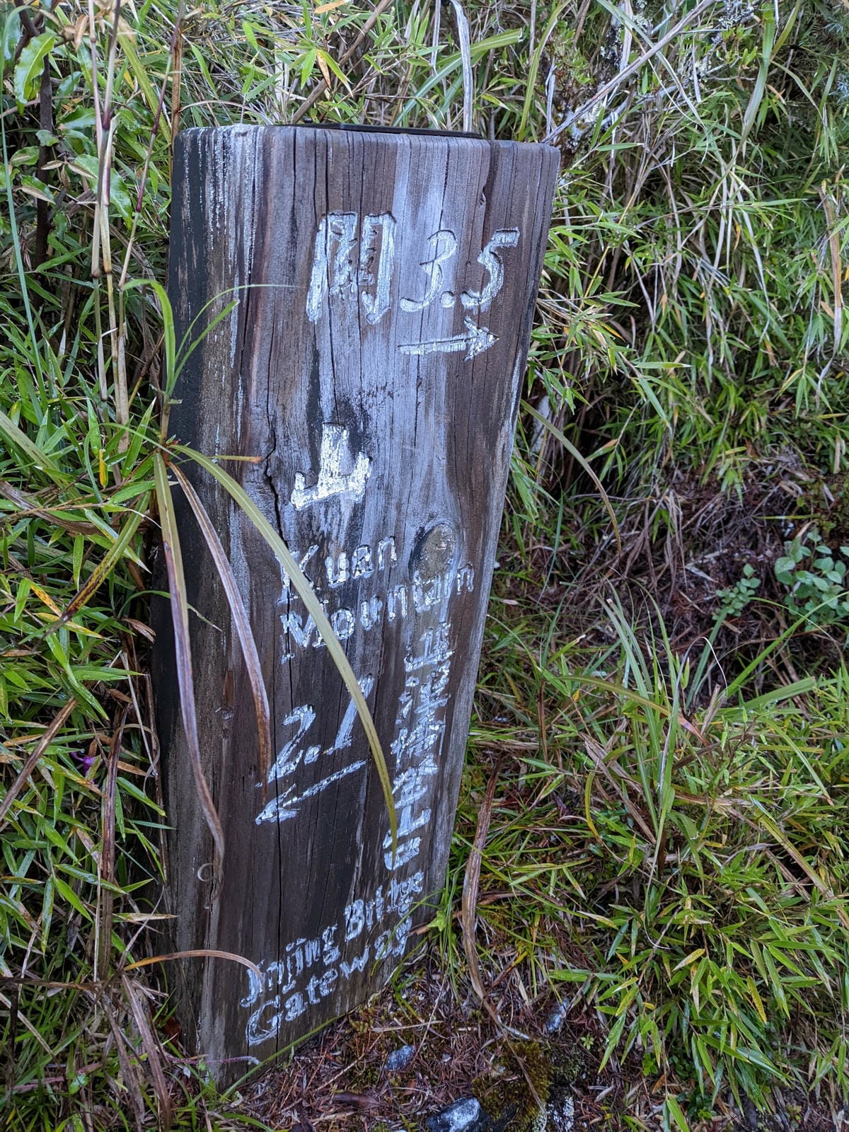 南橫F4 庫哈諾辛山&關山|夜宿庫哈諾辛山屋|關山GO - 第5張圖 南橫F4 庫哈諾辛山&關山|夜宿庫哈諾辛山屋|關山GO