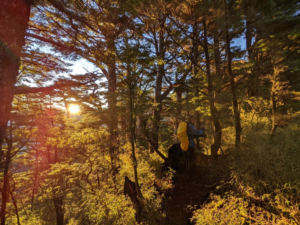南橫F4 庫哈諾辛山&關山｜夜宿庫哈諾辛山屋｜關山GO