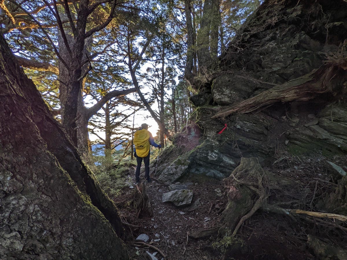 南橫F4 庫哈諾辛山&關山｜夜宿庫哈諾辛山屋｜關山GO