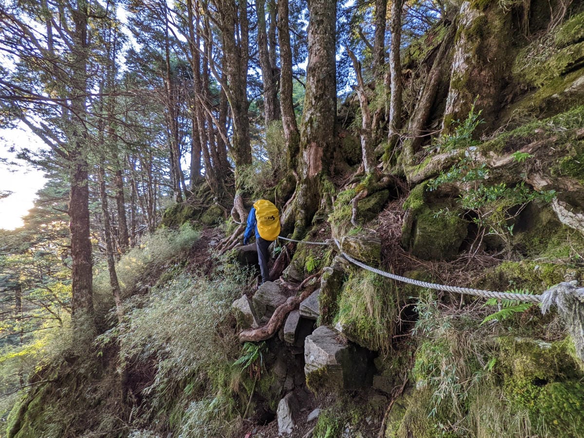 南橫F4 庫哈諾辛山&關山｜夜宿庫哈諾辛山屋｜關山GO