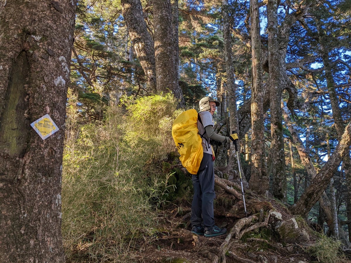 南橫F4 庫哈諾辛山&關山｜夜宿庫哈諾辛山屋｜關山GO