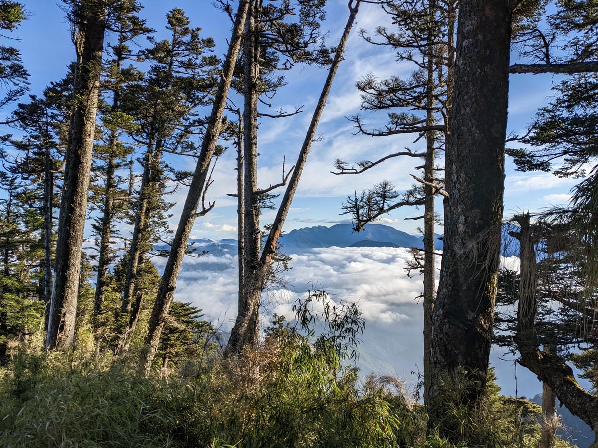 南橫F4 庫哈諾辛山&關山｜夜宿庫哈諾辛山屋｜關山GO