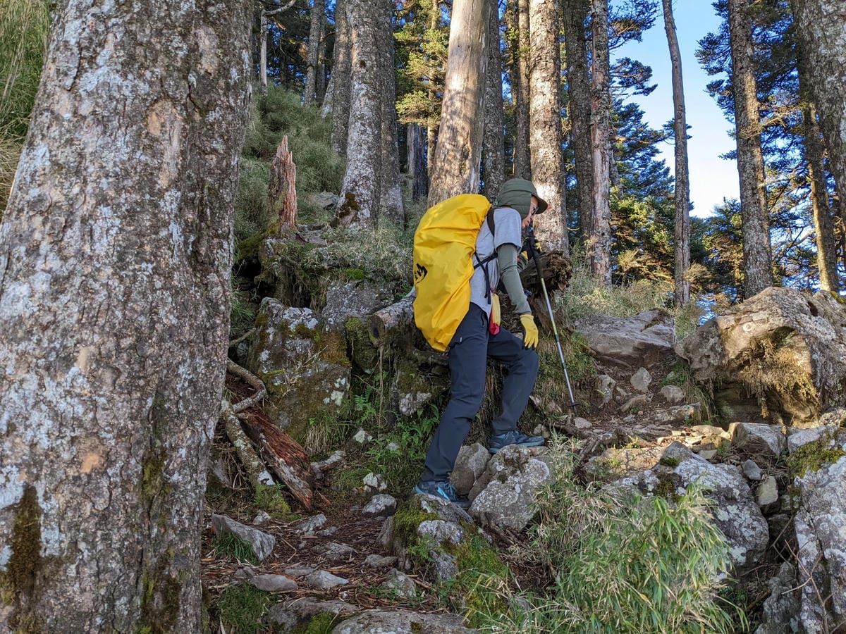 南橫F4 庫哈諾辛山&關山｜夜宿庫哈諾辛山屋｜關山GO
