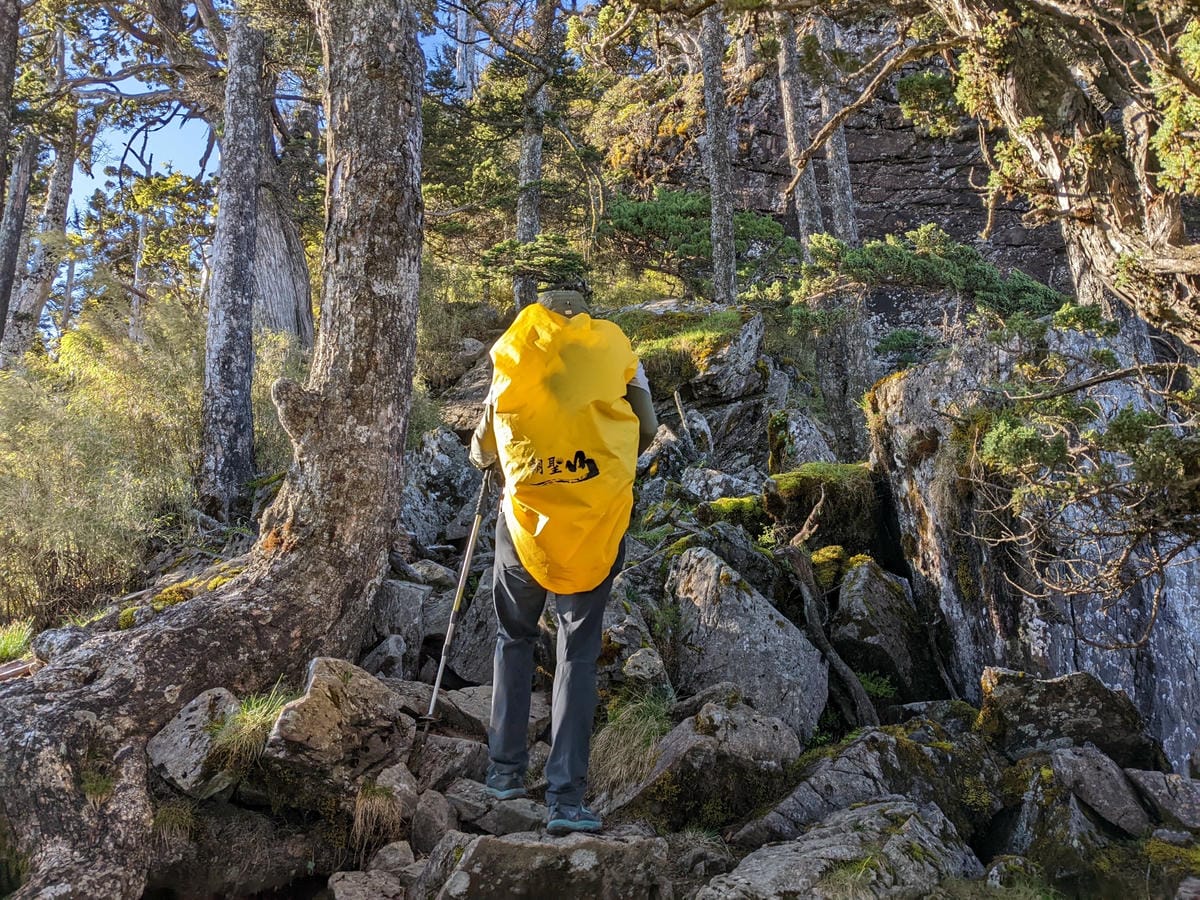 南橫F4 庫哈諾辛山&關山｜夜宿庫哈諾辛山屋｜關山GO