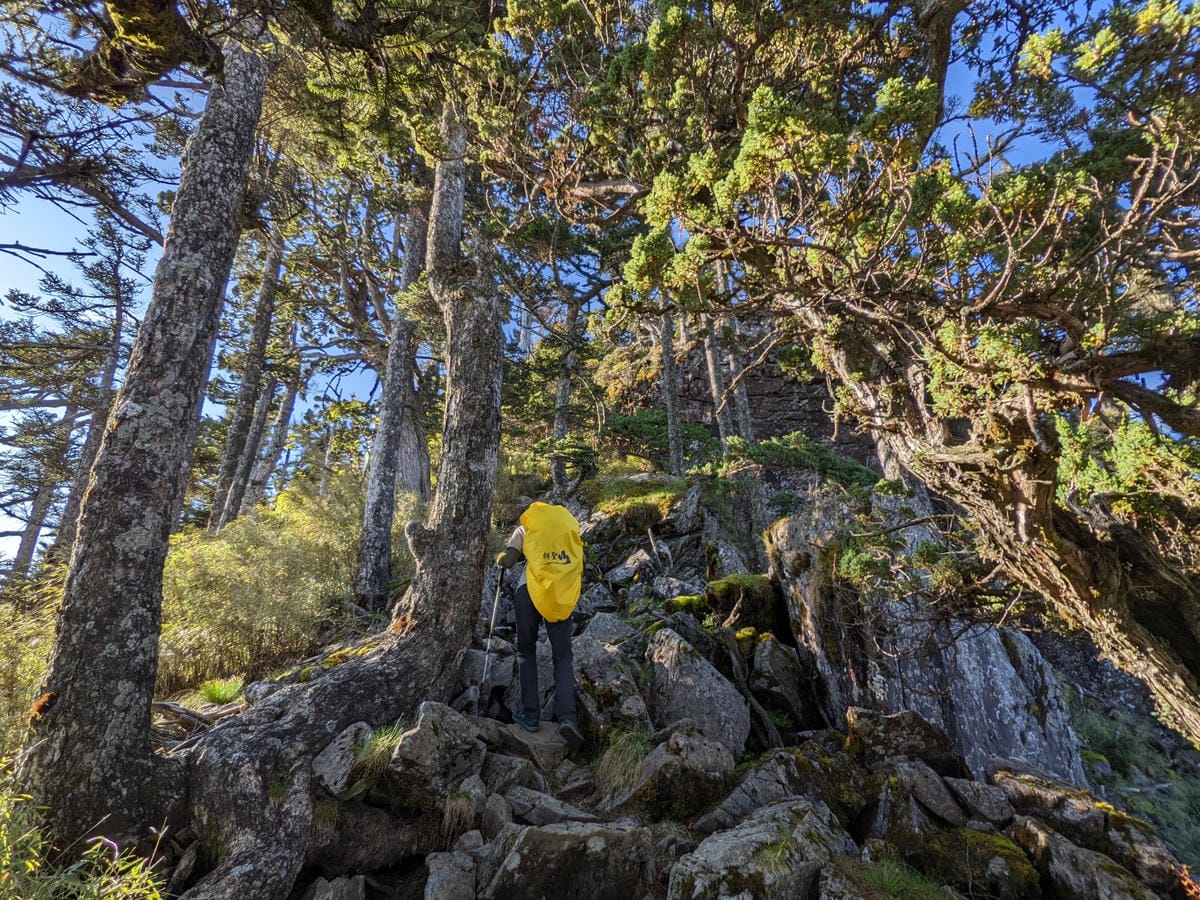 南橫F4 庫哈諾辛山&關山｜夜宿庫哈諾辛山屋｜關山GO